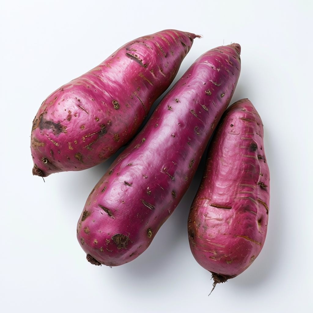 Pink sweet potato Ipomoea batatas seeds for planting in raised beds