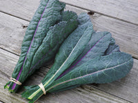 Dazzling Blue – Organic Kale Seed