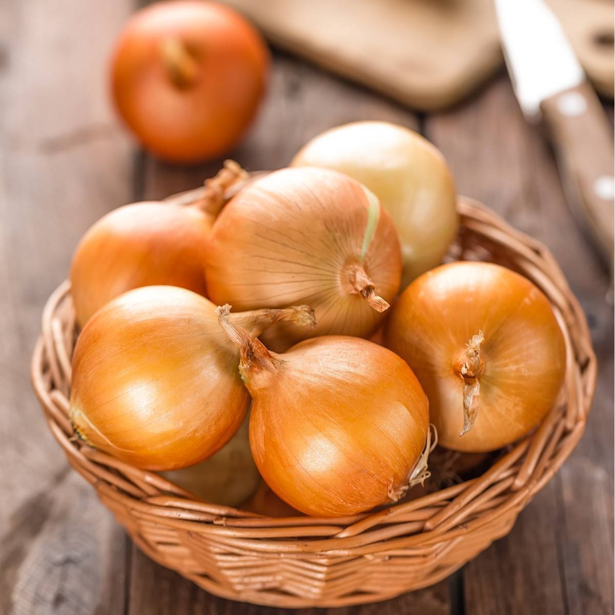 Onion- Gladalan Brown