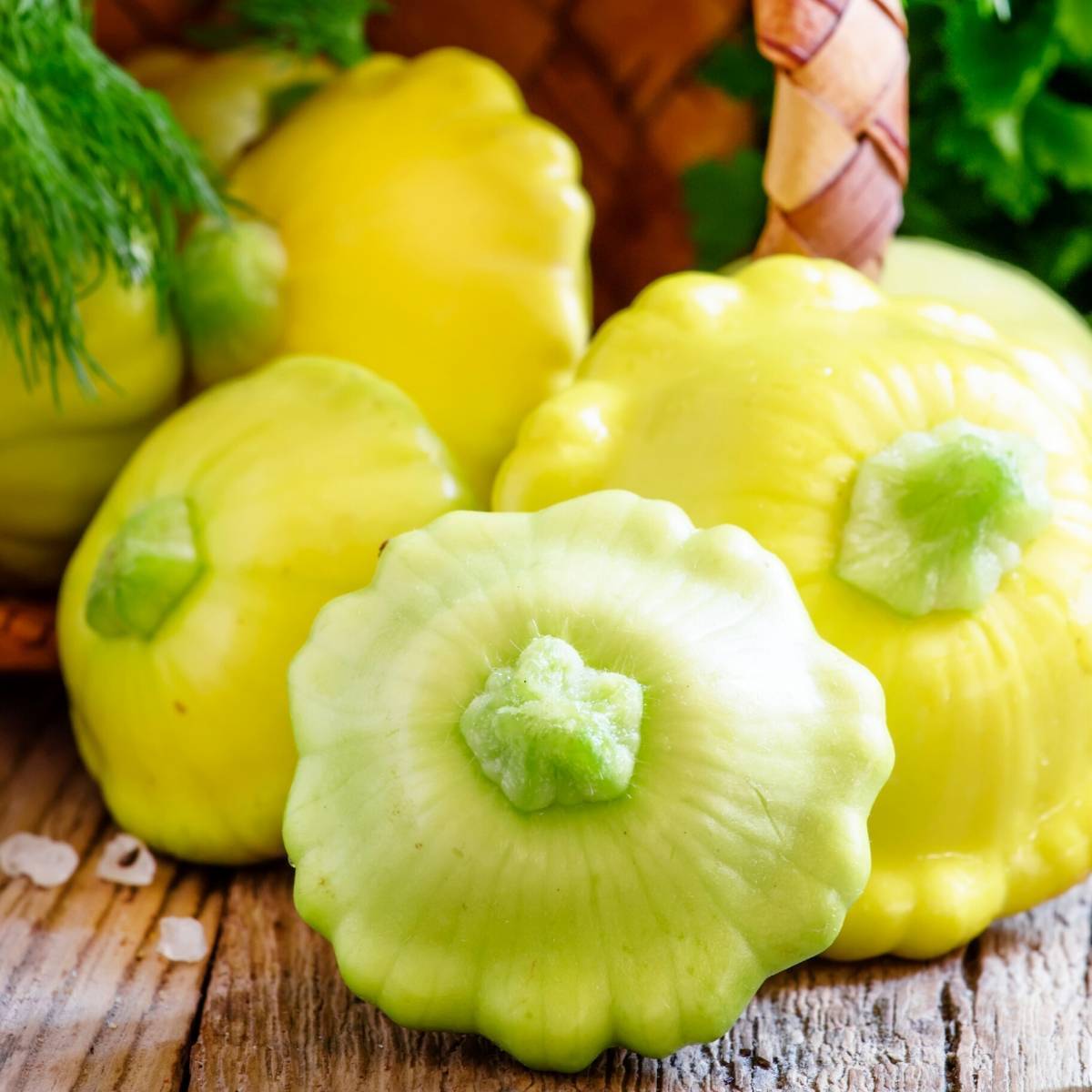 Summer Squash- Golden Scallopini