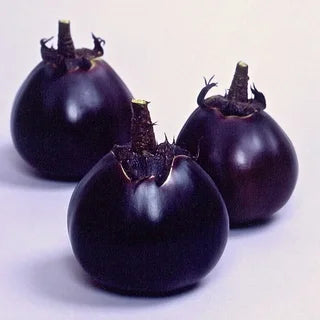 Eggplant- Thai Purple Ball