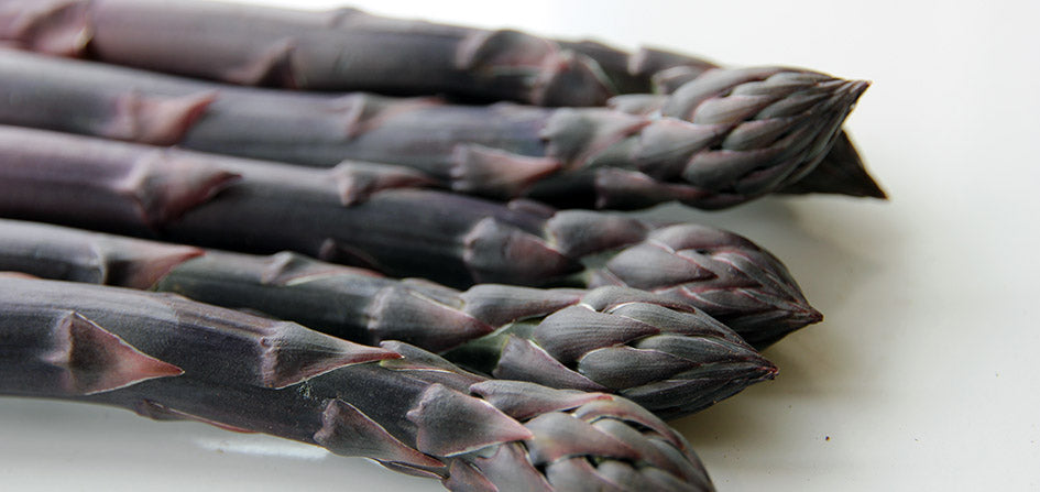 Erasmus – Purple Asparagus Seeds