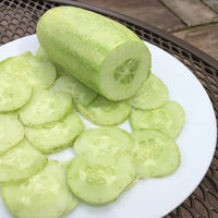 Cucumber- Redlands Long White