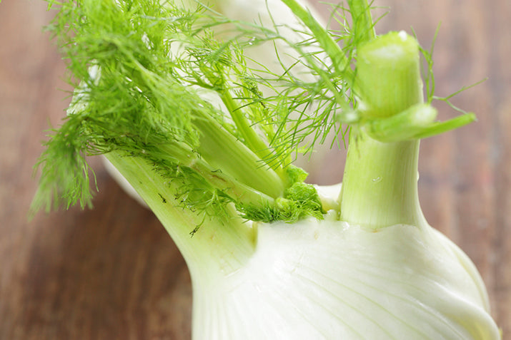 Europe Fragrant  Fennel Seeds Organic Vegetable Seeds