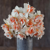 Replete – Narcissus