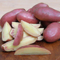 French Fingerling – Seed Potatoes