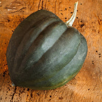 Winter Squash- Table Gem Bush