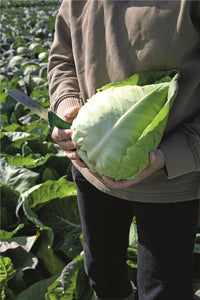 Murdoc – Cabbage Seed