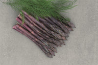 Erasmus – Purple Asparagus Seeds