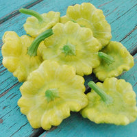 Summer Squash- Golden Scallopini