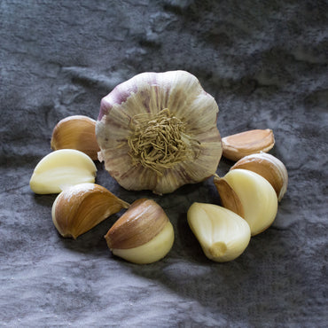 German Red – Garlic Bulbs