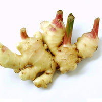 Ginger Seeds Balcony Vegetables Potted Bonsai Plant Seeds
