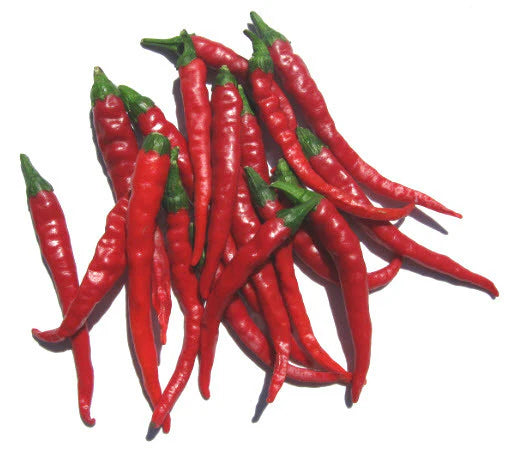 Chilli- Cayenne