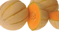 Halona – Melon Seed