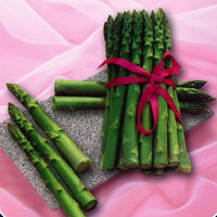 Healthy vegetable Seeds imported asparagus Seeds selling small f