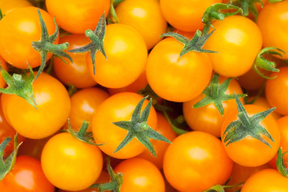 Sungold Tomato Seeds