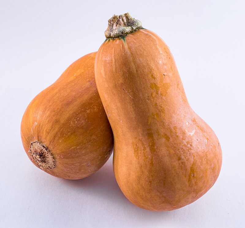 Honeynut – Organic Butternut Squash Seed