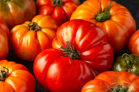 Tomato- Costoluto Fiorentino