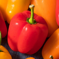 Capsicum- Mini Bell Red