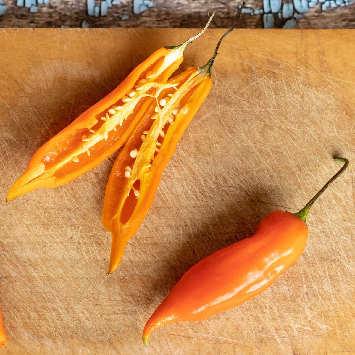 Chilli- Aji Lemon Drop