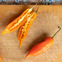 Chilli- Aji Lemon Drop