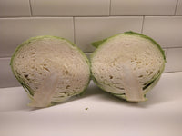 Kaitlin – Cabbage Seed