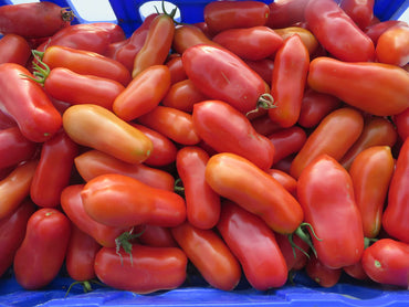 San Marzano II – Organic Tomato Seed