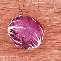 Indigo Hybrid Radicchio Seeds