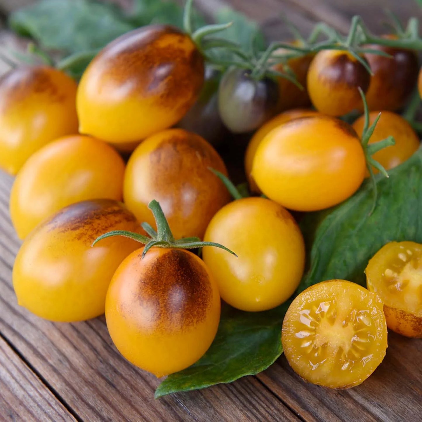 Indigo Kumquat – Tomato Seed