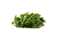 Collard, VATES – Microgreen Seed