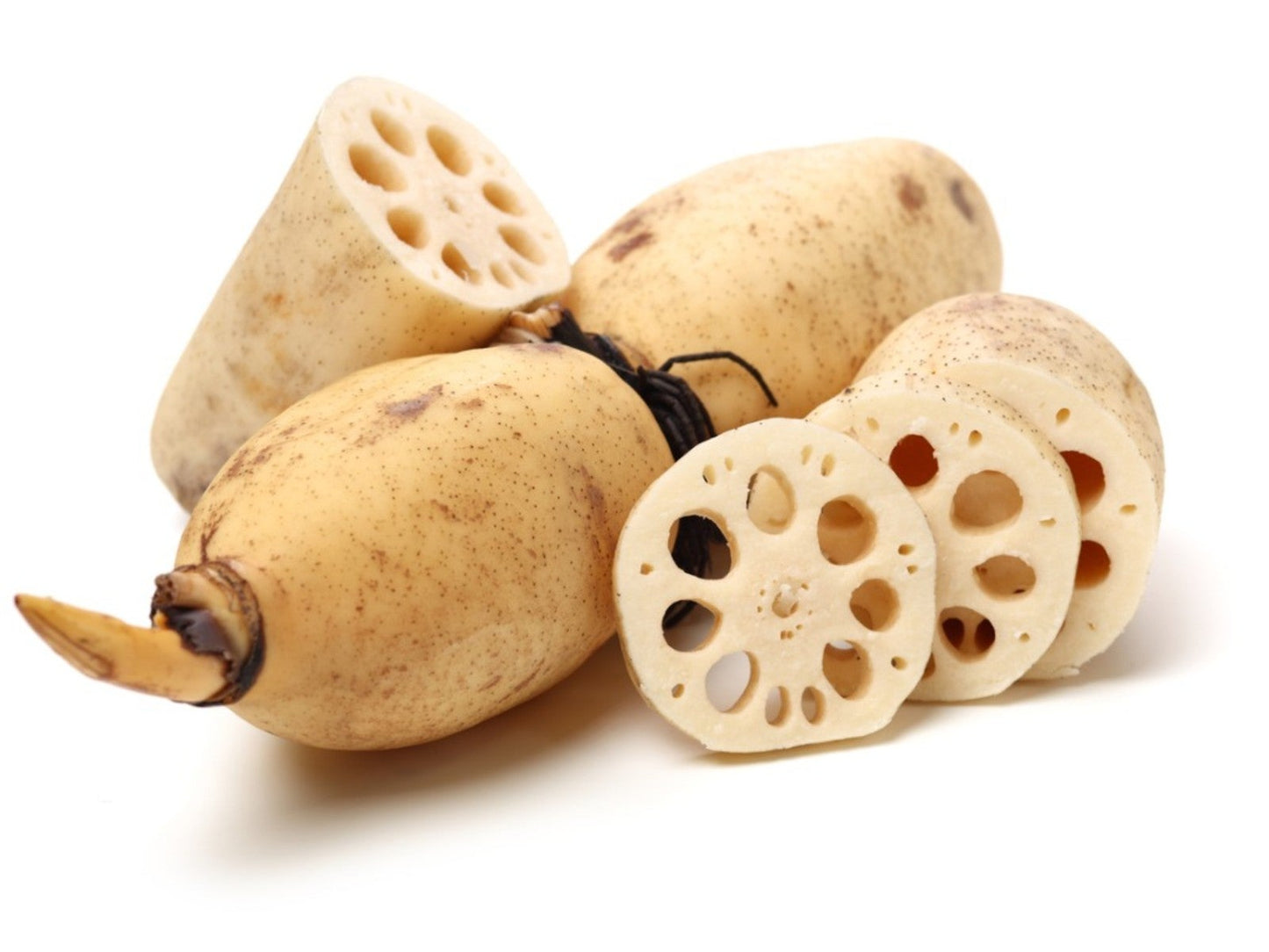 Lotus Root Seeds Chinese Vegetable Lotus Root Seeds Aquatic Plan
