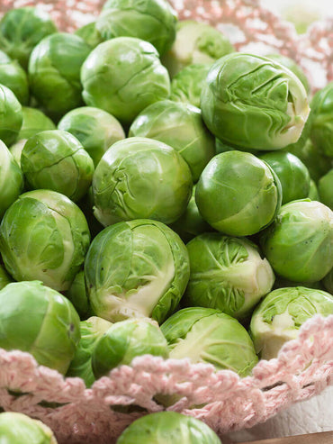 Hestia – Brussels Sprout Seed