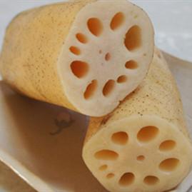 Lotus Root Seeds Chinese Vegetable Lotus Root Seeds Aquatic Plan