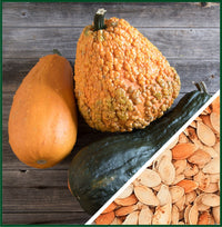 Lunch Lady – Gourd Seed