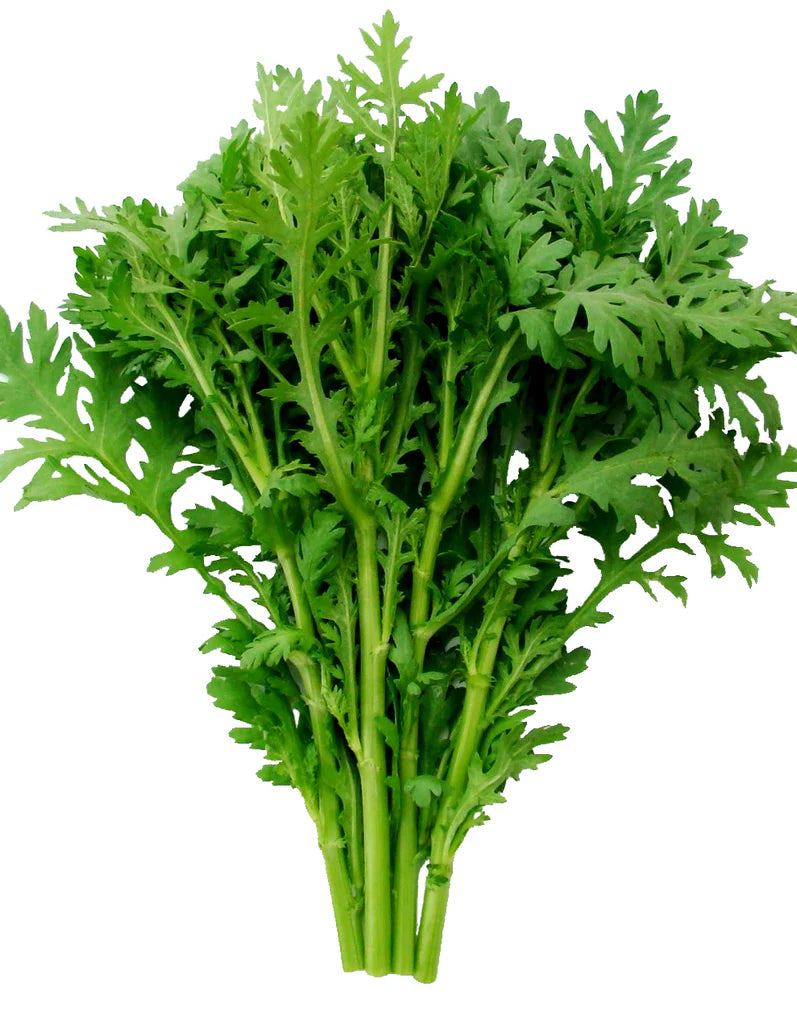 Shungiku Seeds (Edible Chrysanthemum)