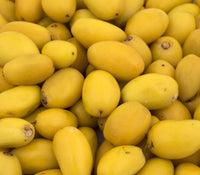 Manilkara Kauk Fruit Seed Collection for Sweet, Tropical Fruit 100 pcs