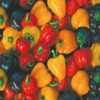 Capsicum Mix Color Bell Pepper  Vegetable Seeds