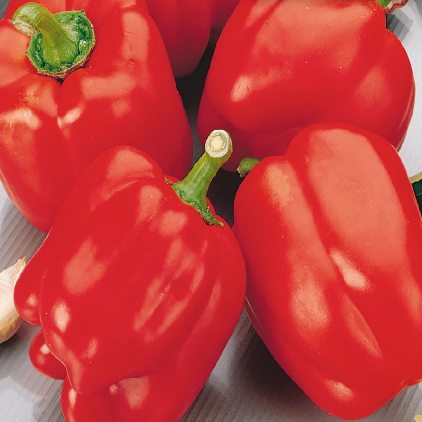 Cupid – Organic Bell Pepper Seed