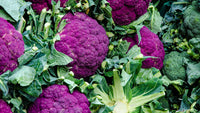 Cauliflower- Purple Sicily