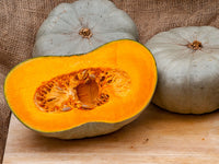 Centner Nelson Pumpkin Seeds Vegetable for Planting