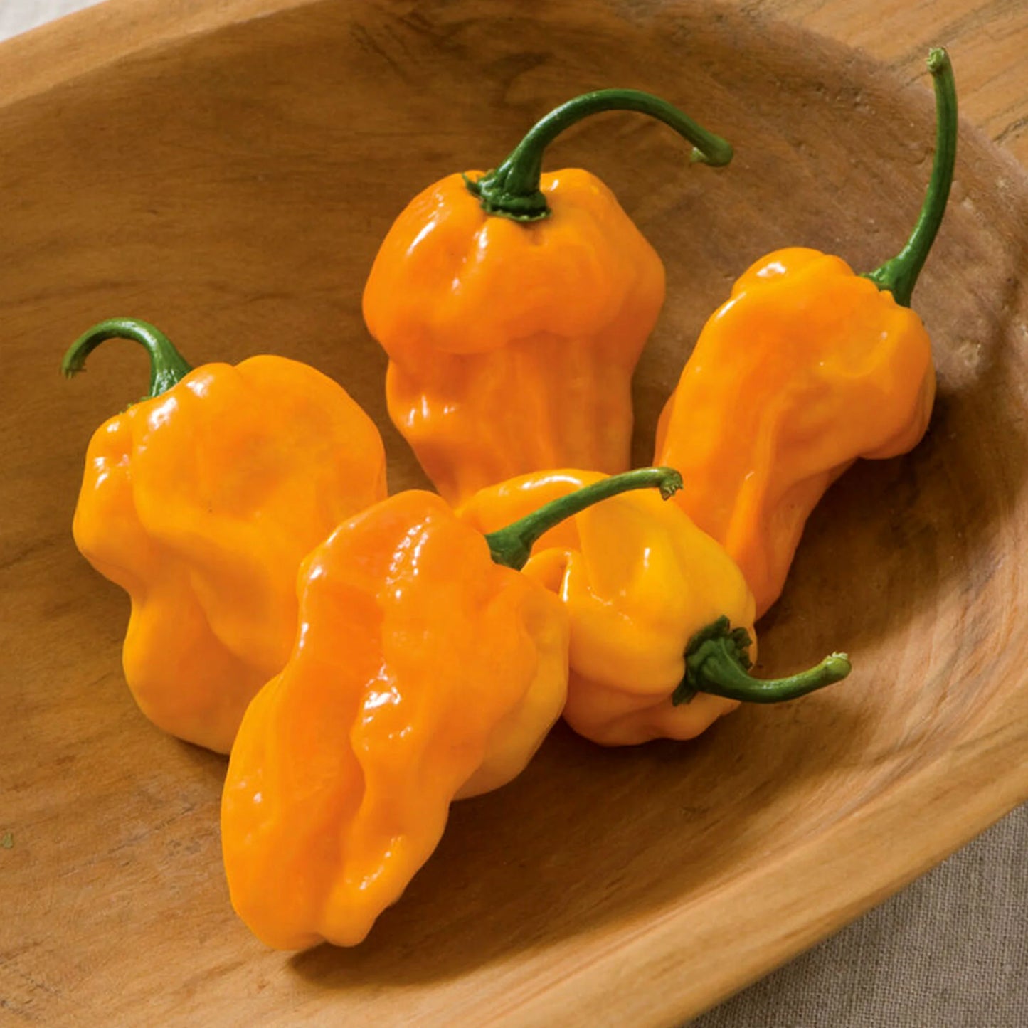 Numex Suave Orange – Habanero Pepper Seed