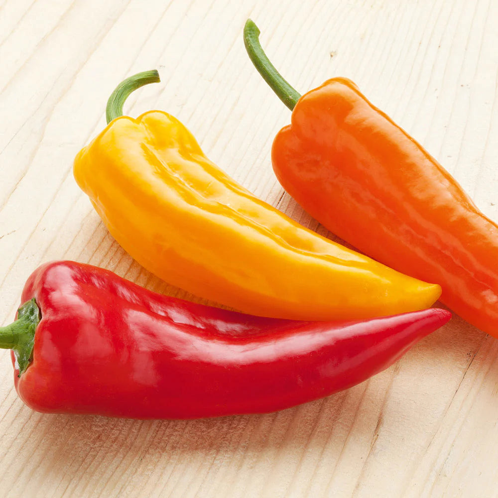 Cornito Pepper Seeds