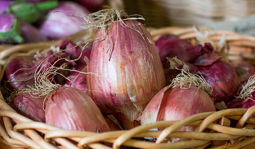 Rossa di Milano – Organic Pelleted Onion Seed