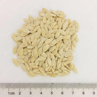 Orange Cucumber Seeds Fresh Crisp Vegetable Fruit Seed