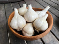 German Extra Hardy – Garlic s