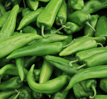 Spitfire – Anaheim Pepper Seed