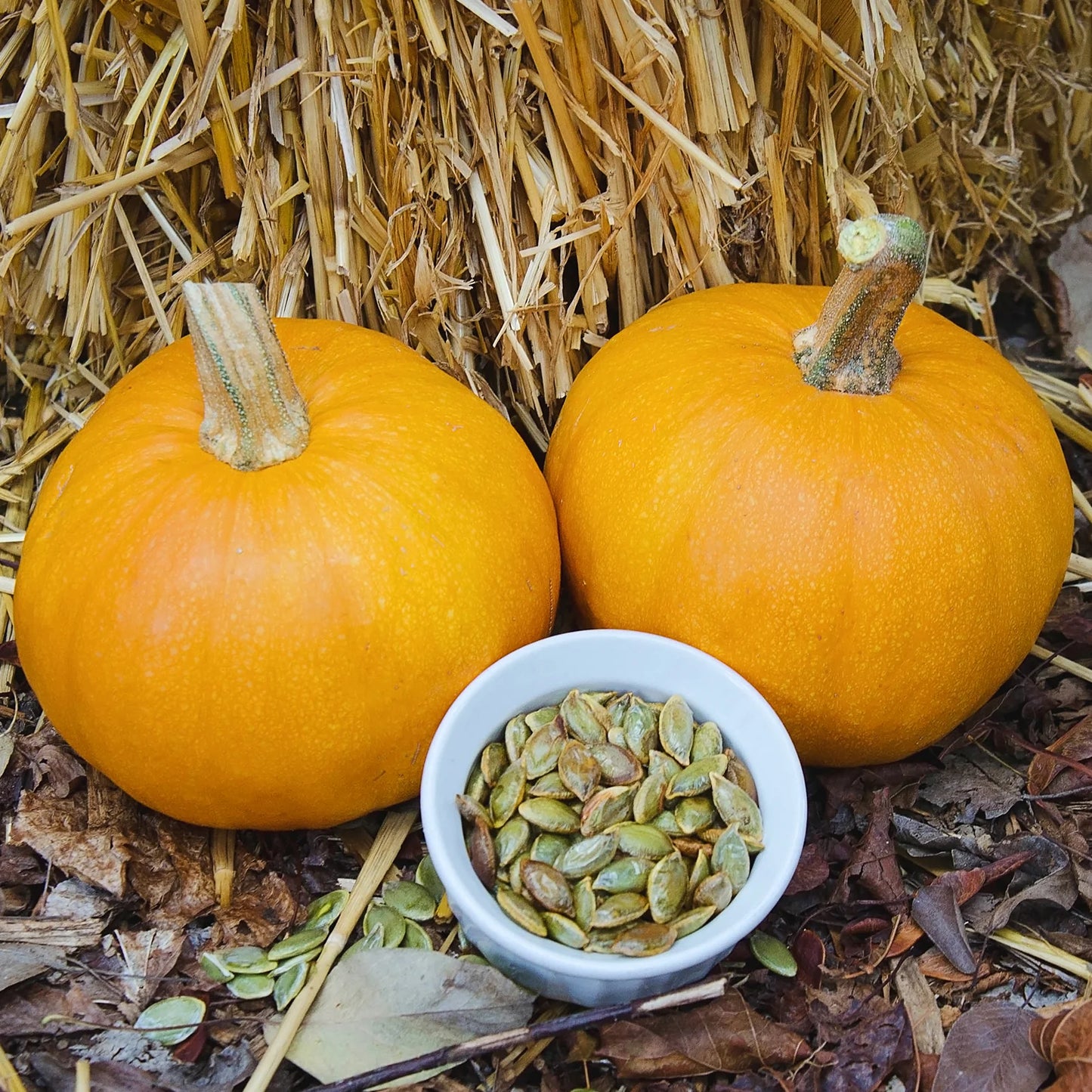 Naked Bear – Treated Pumpkin Seed