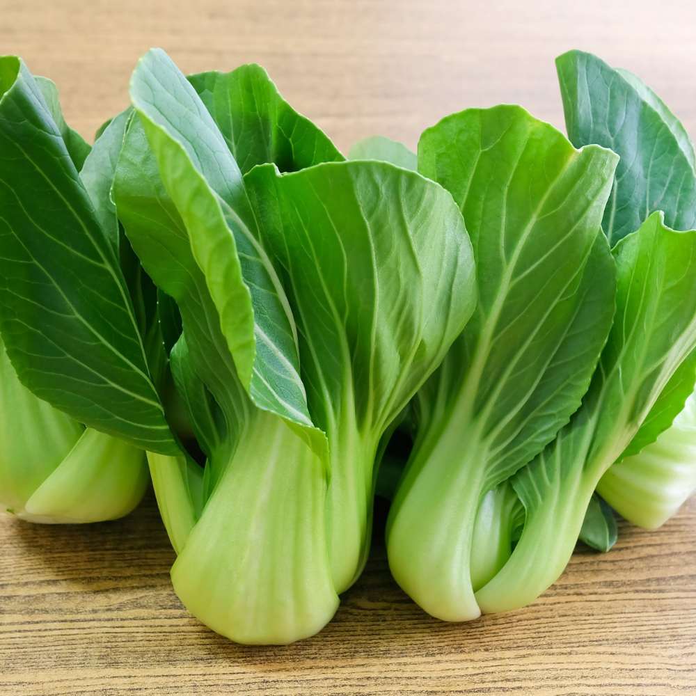 Black Summer – Bok Choy Seeds