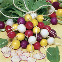 Park’s Beauty Blend Radish Seed