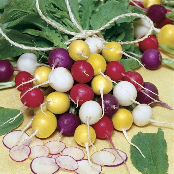 Park’s Beauty Blend Radish Seed